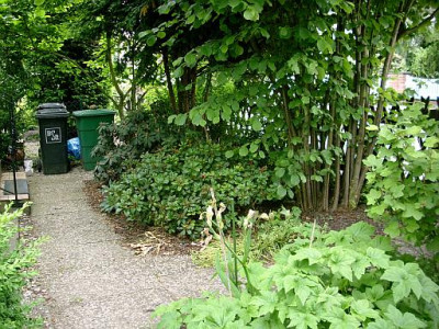 hasel_vorgarten_2010-06-12_073.jpg