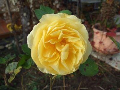 141110_003.jpg