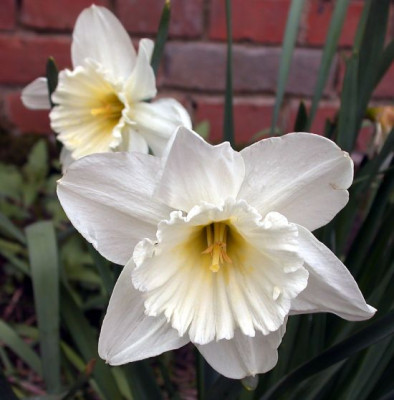 DSCN4255002.jpg
