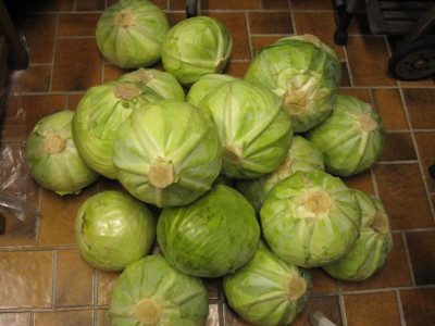 Kraut1.jpg
