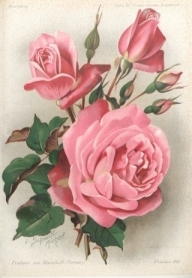 Freiherr_von_Marschall_klein.jpg