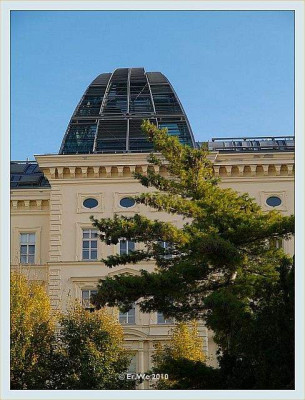 Wien_Burggarten_nadel_1_2010-10.jpg
