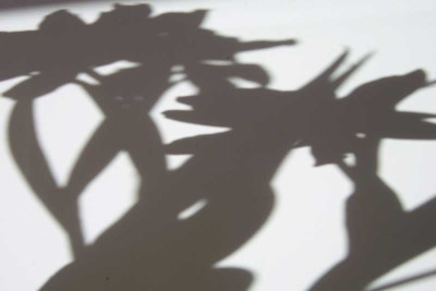 100_5969_web.jpg