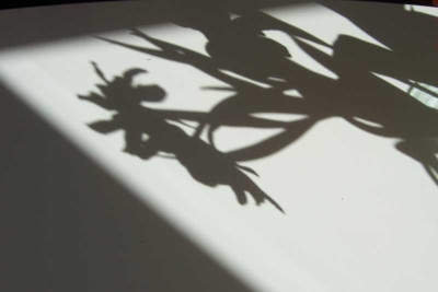 100_5980_web.jpg