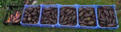 ernte_101117.jpg