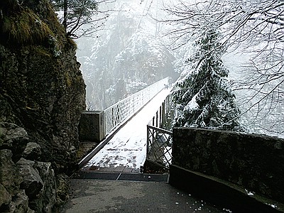 comp_Kopie_von_Foto0041.jpg