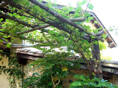 Pergola_Borja02_web.jpg