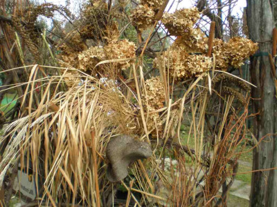 herbstdekomuelltonne.jpg