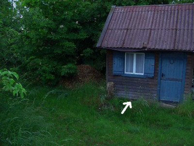 gartenhaus_kopie2.JPG
