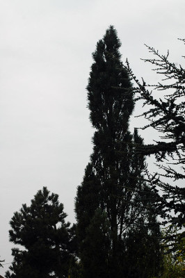 r2882.jpg