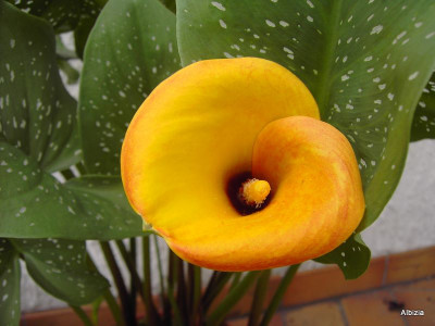 PICT4967.JPG