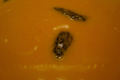 kuerbissuppe_zg112010.jpg