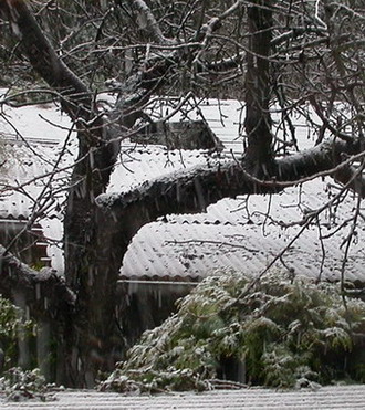 DSCN5949_erstes_wei.JPG