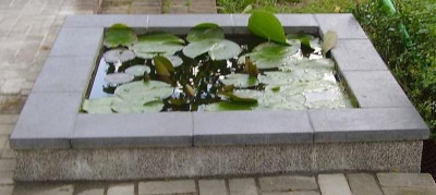 TeichTerasse.jpg