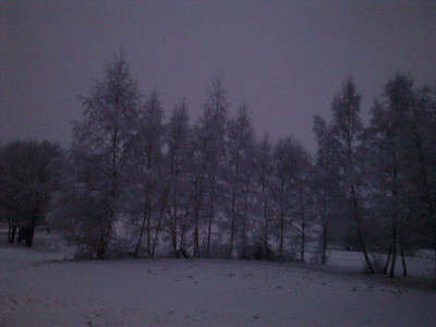 Tambach_2_800x800_80KB.jpg