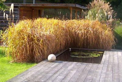 Holzterr01_web.jpg
