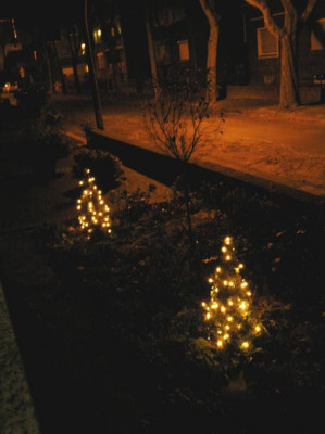 tannevorgarten.JPG