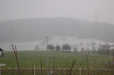 Wald_0010__2634.jpg