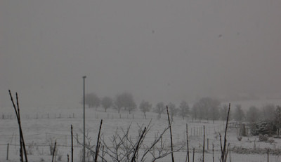 Schneeimpression_0010__2649.jpg