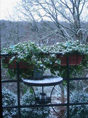 schnee_24.11.10.jpg