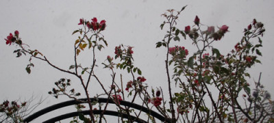 Dortmund_0011__82640.jpg