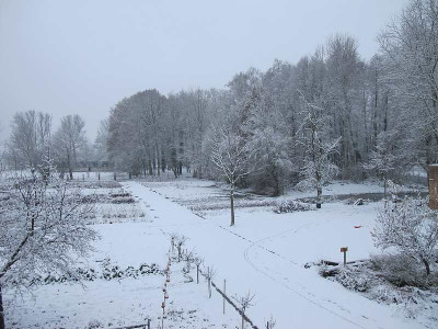 Schnee_November_10_ue.jpg