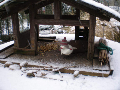vogelmitmuetze1winter.jpg