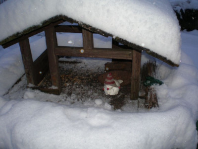 vogelmitmuetze2winter.jpg