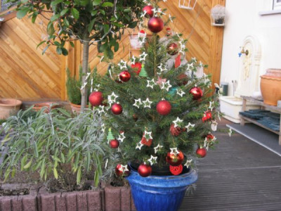 weihnachtsbaum_004.JPG