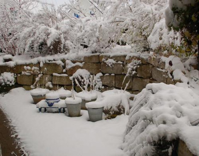 Schneehauben_0010__2695.jpg