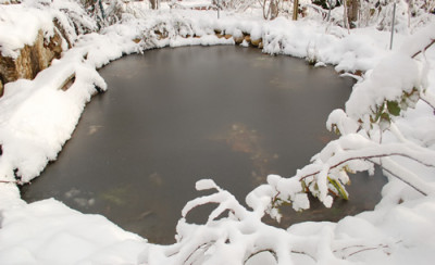 Teich_0010__2734.jpg