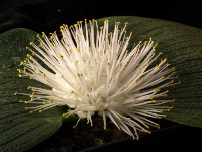 K640_PB271899.JPG