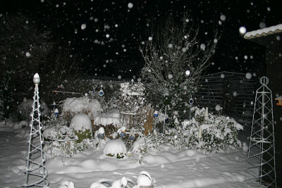 Winter_A0310.jpg
