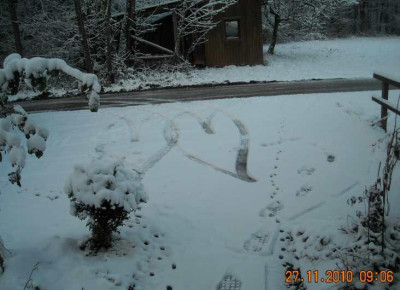 DSCN2886.jpg