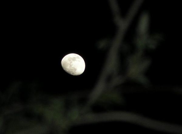 mond_p4200731.jpg