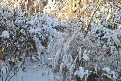 DSC_0058_web.jpg