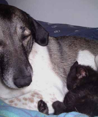 Cassis_und_Amy_Kopie_2.jpg