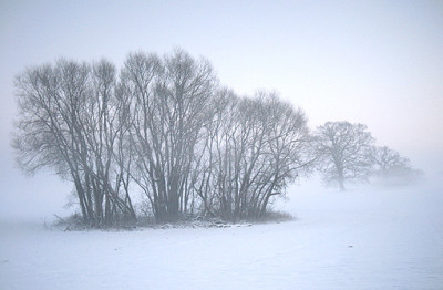 11Winter.jpg