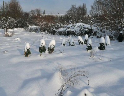 tg_101202_1.jpg