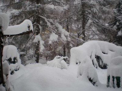 wintertestea1.jpg