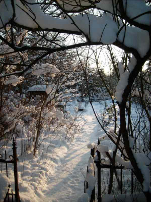Garten_03122010.jpg