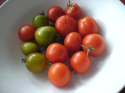 Resttomaten.jpg