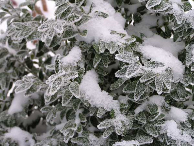 101204_01a.jpg