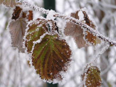 101204_02a.jpg