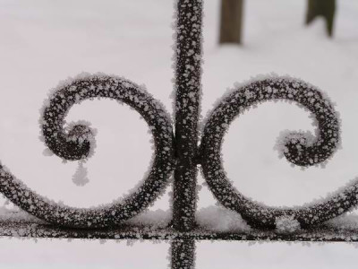 101204_09a.jpg