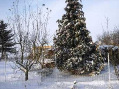K640_CIMG5125.JPG
