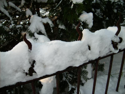 Zaun_03122010.jpg