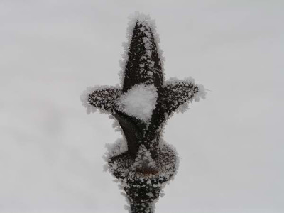 101204_07a.jpg