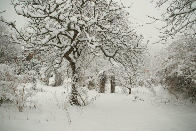 schnee_garten_2010.jpg