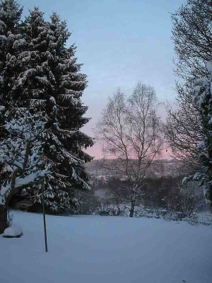 Sonnenaufgang_Garten_10.12.10.jpg